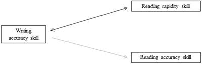 Relationship between lexical, reading and spelling skills in bilingual language minority children and their monolingual peers